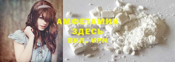 PSILOCYBIN Баксан